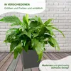 LAMELA spolka z organiczona odpowiedzią. Pokrowiec JUKA - Podgląd zdjęcia produktu 6