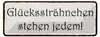 Blechschild Spruch 27x10cm Glückssträhnchen stehen jedem Produktbild-Vorschau 1