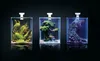 Three small, illuminated aquariums are displayed side-by-side against a black background. Each aquarium contains a different miniature aquatic landscape. Anteprima dell’immagine prodotto