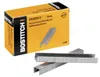 agrafes 10mm SB302010 galvanisées pour agrafeuse Bostitch Voir les images du produit 2