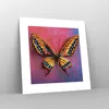 Poster - Poster ohne Rahmen - Schmetterling bunt gemalt - Produktbild-Vorschau 7