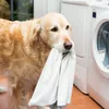 Schecker Spezial-Waschmittel für Hundetextilien 500ml Produktbild-Vorschau 2