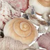 Relaxdays Decoratieset met schelpen, XL-mix met grote Productafbeelding-voorbeeld 7