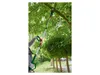 PARKSIDE® 20 V Akku-Hochentaster »PAHE E6 «, ohne Akku und Produktbild-Vorschau 10