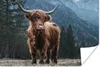 MuchoWow® Poster Schottische Highlander - Berg - Landschaft Produktbild-Vorschau 1