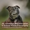 AniForte Ziegenmilch Pulver für Hunde & Katzen 500 g - Produktbild-Vorschau 7