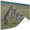 MuchoWow® Poster Spielende Zebras 40x30 cm - Plakate für Produktbild-Vorschau 1
