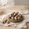 60x Wachteleier Natur ausgeblasen gereinigt Deko Ostern Produktbild-Vorschau 7