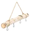Birkenzweig 30 cm mit 4 Haken und Jutekordel Hängeast Produktbild-Vorschau 1