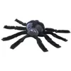 Beleduc Spider, jouet araignée, 3 ans(a) Voir les images du produit 1
