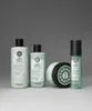 A collection of Maria Nila hair care products arranged on a plain gray background. Anteprima dell’immagine prodotto