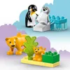 10442 - LEGO DUPLO - Familles d'animaux sauvages : Voir les images du produit 23
