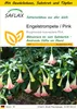 SAFLAX Anzucht Set - Engelstrompete / Pink - Brugmansia Produktbild-Vorschau 1