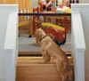 Verk 15783 Barrière de porte 180 x 75 cm Voir les images du produit 2