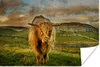 MuchoWow® Poster Schottischer Highlander - Gras - Berg Produktbild-Vorschau 1