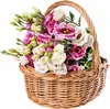 Creative Home Malý Proutěný Nákupní Košík s Uchem | 30 x 27 Náhled obrázku produktu 1