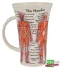 Dunoon Becher Glencoe The Human Body Produktbild-Vorschau 3