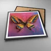 Gerahmtes Poster - Schwarzer Rahmen - Schmetterling bunt Produktbild-Vorschau 3