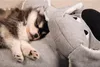 Jouet pour chiots Beeztees Boomba XL 70 x 40 cm gris Voir les images du produit 2