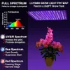 A grow light illuminating a potted orchid plant, with a spectrum chart and feature descriptions on the left. Produktbild-Vorschau