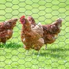 Sechskantgeflecht, Gartenzaun Maschendraht, Hasendraht Produktbild-Vorschau 9