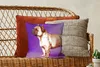 MuchoWow® Zierkissen Sofakissen Wohnzimmer Dekokissen 40x40 Produktbild-Vorschau 5