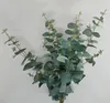 künstlicher Eucalyptus Blätterzweig H. 68cm grün Emerald Produktbild-Vorschau 3