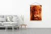 MuchoWow® Textilposter Schottischer Highlander - Produktbild-Vorschau 3
