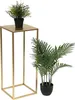 A gold metal plant stand with a potted plant on top, and another potted plant next to it. Náhľad obrázku produktu