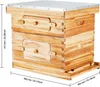 SucceBuy Bienenstock-Starterset mit 20 Rahmen, mit Produktbild-Vorschau 8