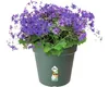 Pflanztopf elho Green Basics Kunststoff Ø 11 H 10 cm grün Produktbild-Vorschau 3