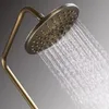 A close-up of a shower head with water spraying from it. Náhled obrázku produktu