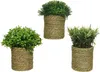 Kunstpflanze im geflochtenen Topf 22 cm, 1 Stück sortiert Produktbild-Vorschau 1