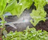 Gardena Micro-Drip-System Sprühdüse 360 Grad: Rundum-360 Produktbild-Vorschau 4