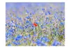 Basera Fototapete Motiv 100406-114, Vliestapete, 300x231 cm Produktbild-Vorschau 2