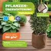 Thermo Topfschutz L für Pflanzenüberwinterung H 50 cm x Ø Produktbild-Vorschau 2
