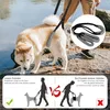 A dog is being walked by a person near water, with a product demonstration graphic below. Produktbild-Vorschau