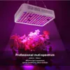 600W Vollspektrum LED Pflanzenlampe, geräuschlos & Produktbild-Vorschau 5
