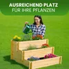 Stufenbeet mit 3 Stufen aus Kiefer natur Pflanzkasten Produktbild-Vorschau 5