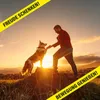 Saint Nutrition® Canine Booster – Gelenkgesundheit – für Produktbild-Vorschau 6