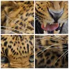 Bild auf Leinwand - Leinwandbild - Leopard tier savanne Produktbild-Vorschau 8