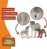 schleich WILD LIFE Wilczyca ze szczenięciem, 3 lat(a), Podgląd zdjęcia produktu 14
