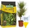 A bag of potting soil and a potted plant are displayed together, along with an insect trap. Voir les images du produit