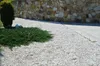 Best for Garden Trittsteine Granit Ziersplitt Weiß 8-16 Produktbild-Vorschau 3