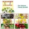 A collage showing plants under grow lights and before/after comparisons of plant growth. Náhľad obrázku produktu