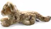 Carl Dick, cucciolo di leone di circa 32 cm 1934, peluche, Anteprima dell’immagine prodotto 10