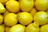 Meine Orangerie - Langzeit-Zitrusdünger [1kg] - Profi Produktbild-Vorschau 3