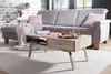 Table basse SIKAR 95x42x50cm manguier massif / métal Voir les images du produit 2