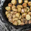 Petromax Feuerpfanne FP25H mit zwei Henkeln Produktbild-Vorschau 4