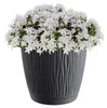 Blumentopf 17cm grau Prosperplast 17 cm x 17 x 15,5 cm Produktbild-Vorschau 6